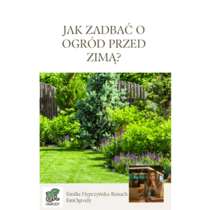 Jak zadbać o ogród przed zimą?