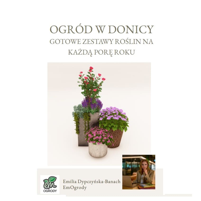 Ogród w donicy. Gotowe zestawy roślin na każdą porę roku